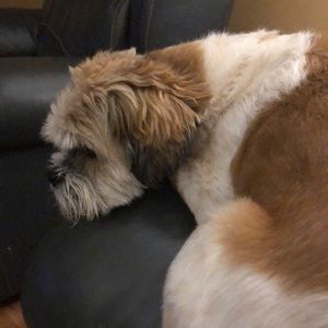 Meet your Posher, Tammy